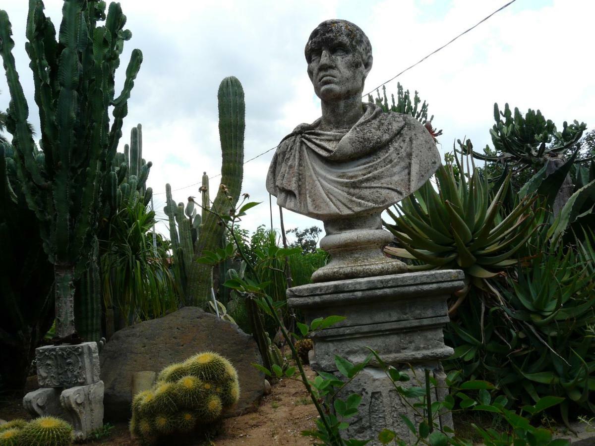 Villa Yucca Avola Esterno foto