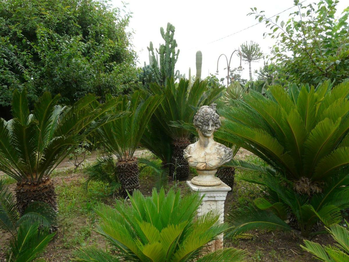 Villa Yucca Avola Esterno foto