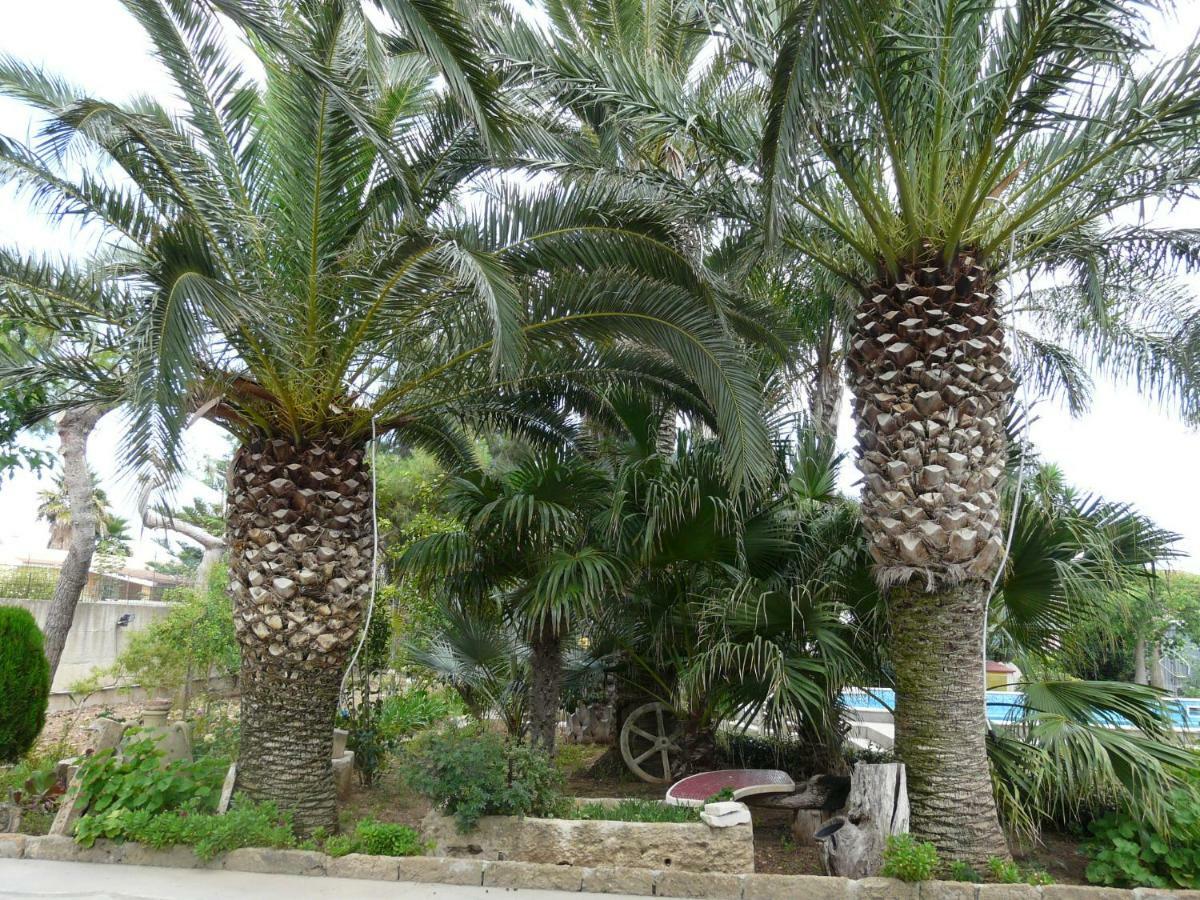 Villa Yucca Avola Esterno foto
