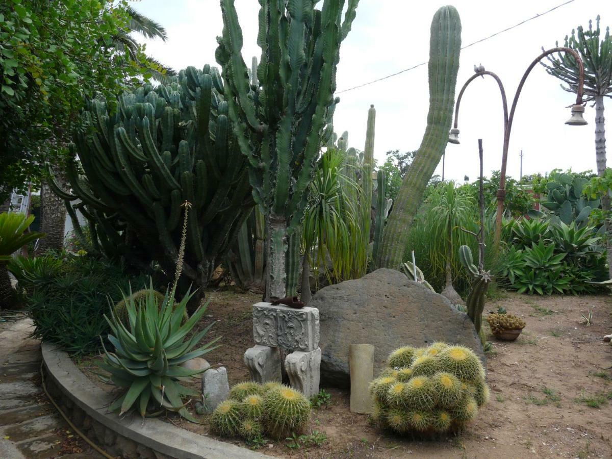 Villa Yucca Avola Esterno foto